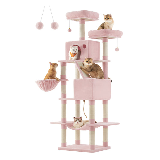 Katzenbaum