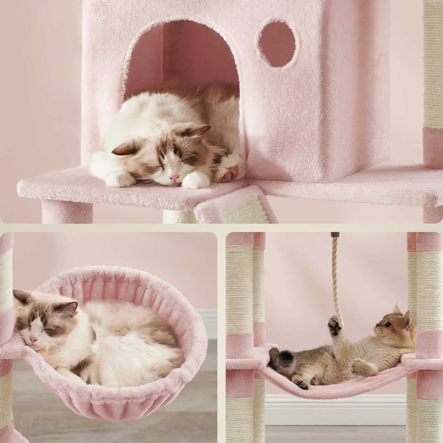 Katzenbaum