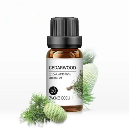 10ML Essential Öl